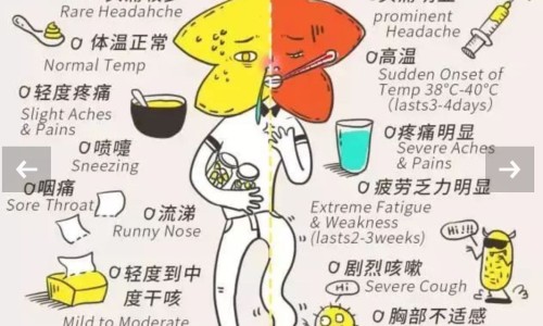 长春市绿园区好吗-长春绿园区环境不好网- 长春绿园区是郊区吗知识,分享长春绿园区环境不好的地方
