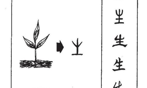 长春绿园区最好的三个小区-长春绿园区环境不好网- 长春绿园区是郊区吗知识,分享长春绿园区环境不好的地方
